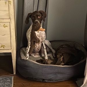 Meet your Posher, Steven